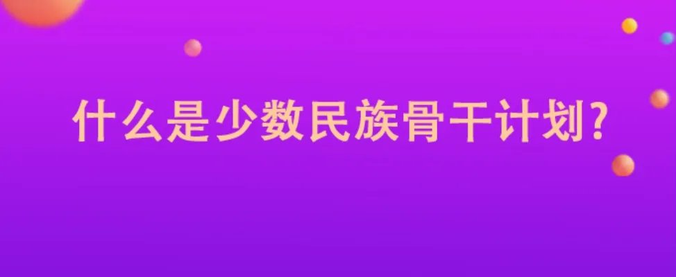 什么是少数民族骨干计划