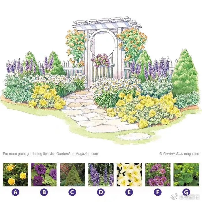 一些花园和花境的设计方案，给大家做参考～