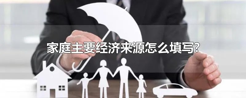 家庭主要经济来源怎么填写?