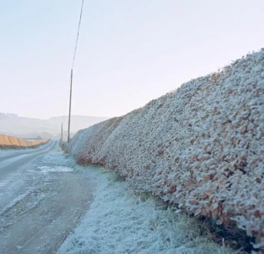 冻雨是什么意思
