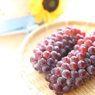 孕妇可以吃人参果吗