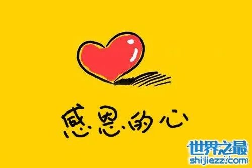 关于感恩的歌介绍，感恩催泪歌曲大全 