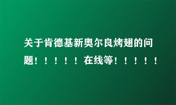 关于肯德基新奥尔良烤翅的问题！！！！！在线等！！！！！