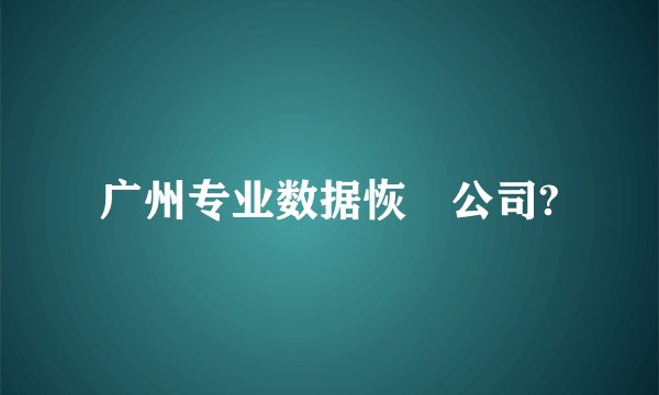 广州专业数据恢復公司?