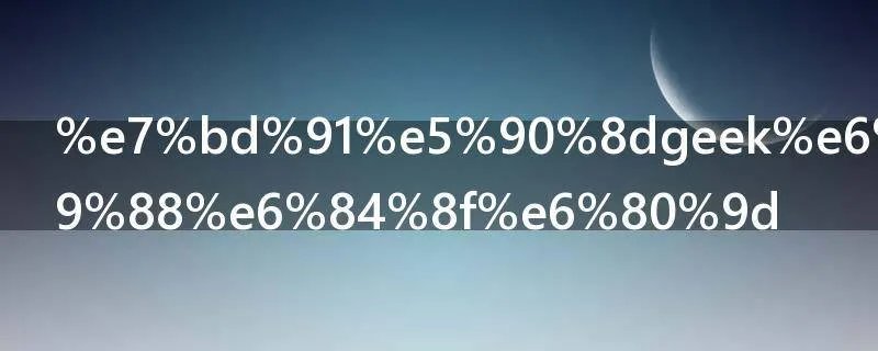 网名geek是什么意思