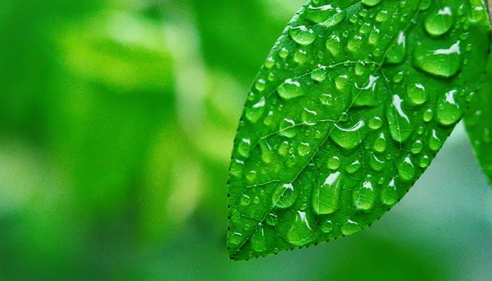 清明节最简短的来历 清明节的来历是什么