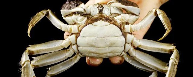 螃蟹的洗法