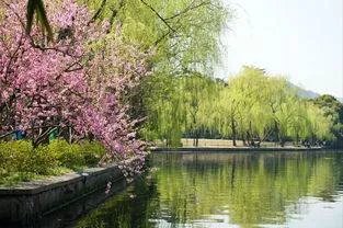 请问杭州市内主要有哪些旅游景点啊？