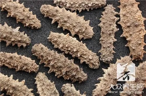 盐渍海参的泡发方法