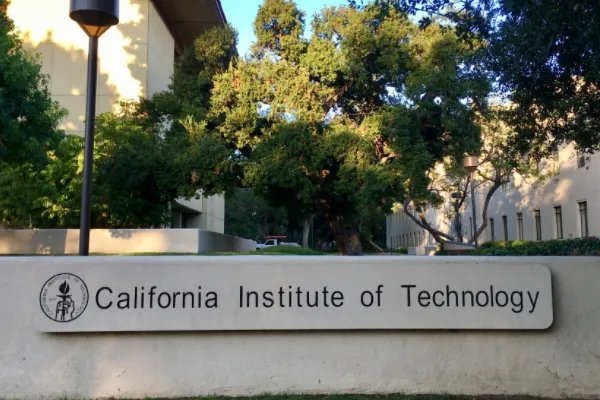 世界十大名校大学