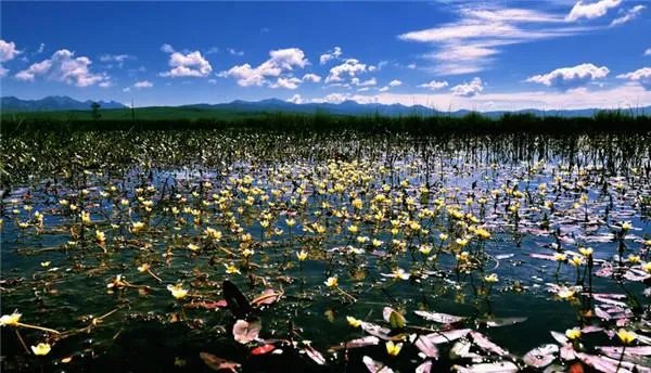 若尔盖草原什么时候去最好?