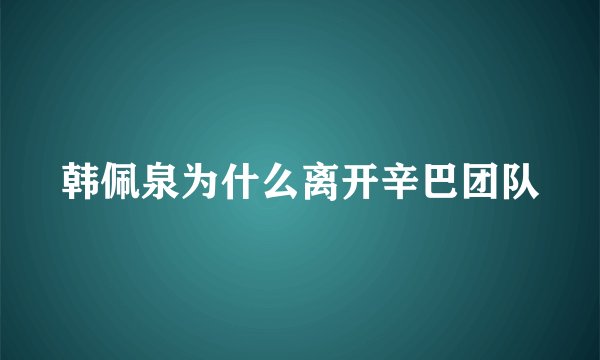 韩佩泉为什么离开辛巴团队