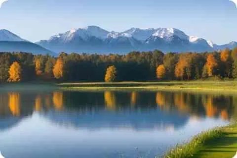 王充论衡论鬼文言文