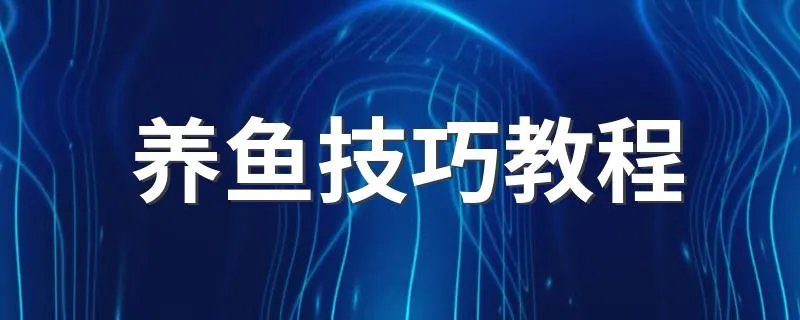 养鱼技巧教程 养鱼的方法介绍