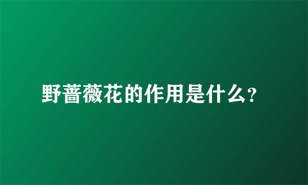 野蔷薇花的作用是什么？