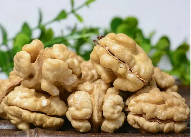 生核桃的功效与作用