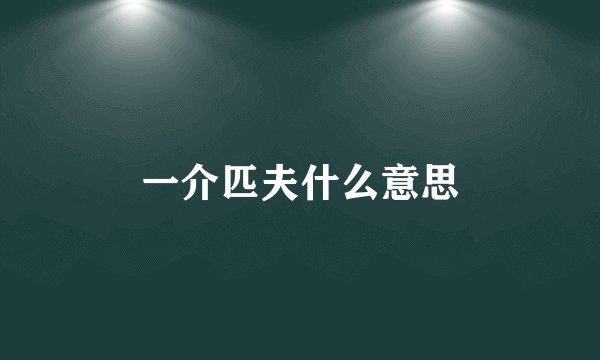 一介匹夫什么意思