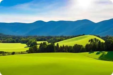 搞笑版文言文大全