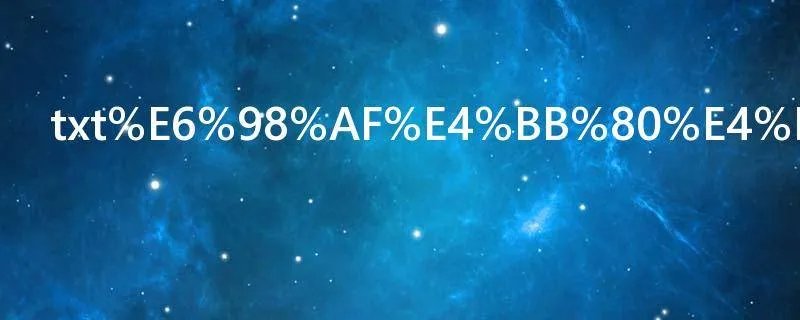 txt是什么