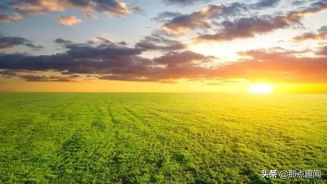 袁隆平身价千亿，有六七辆“豪车”，为啥只舍得穿50块的衣服？