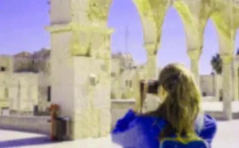 假期见闻的作文