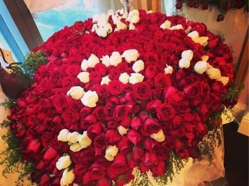 1到100的玫瑰花语是什么？