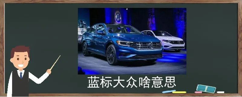 蓝标大众啥意思