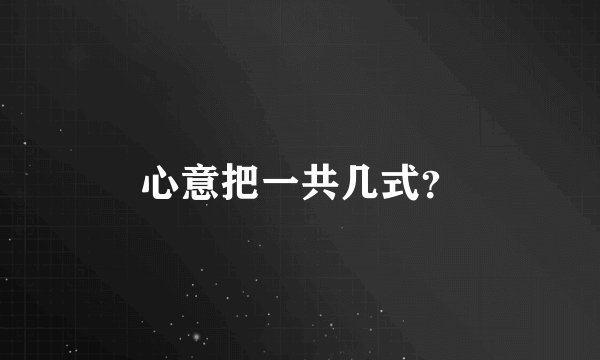 心意把一共几式？