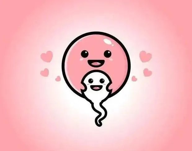 温州供卵试管-温州市人民医院可以借卵子做供卵试管吗？附2023供卵试管生男条件