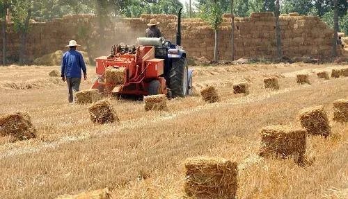 如何合理利用秸秆