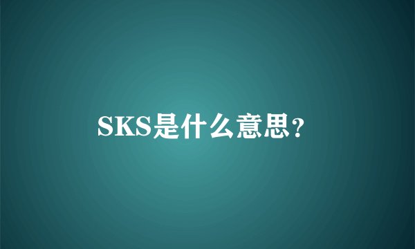 SKS是什么意思？