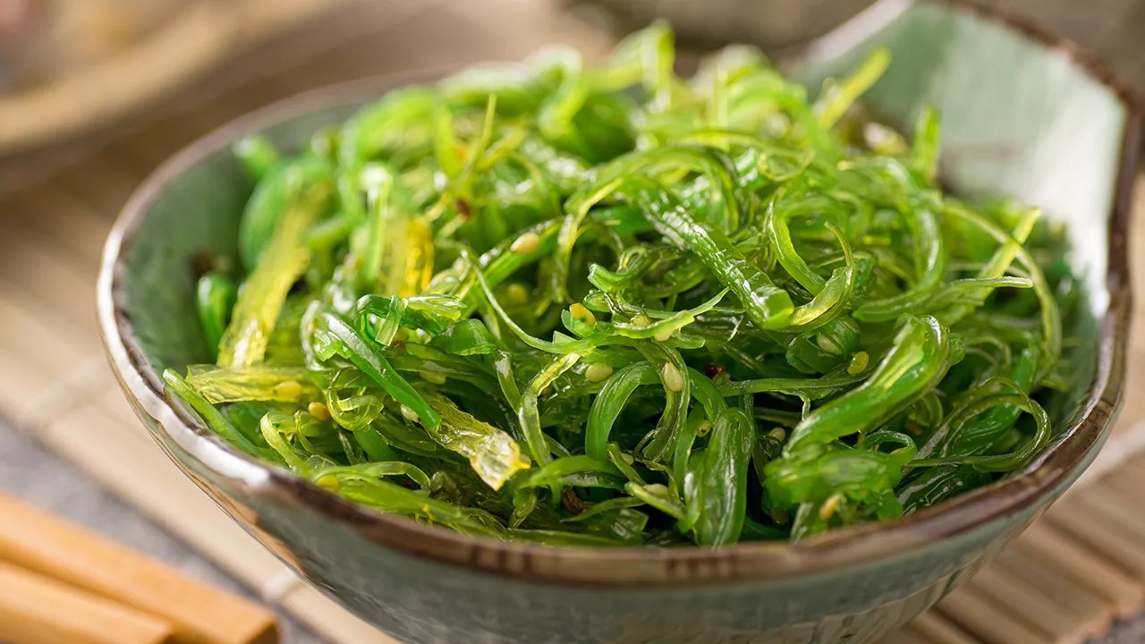 中药海藻的功效与作用