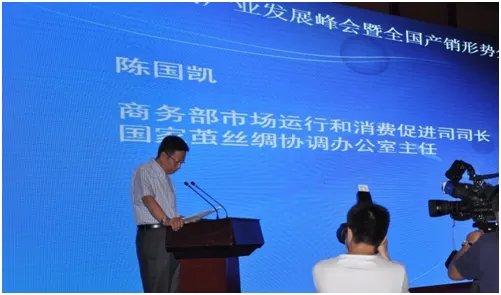 中国茧丝绸交易市场的简介