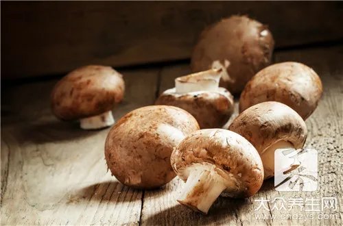 香菇脆片有营养吗