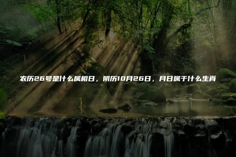农历26号是什么属相日，阴历10月26日，月日属于什么生肖