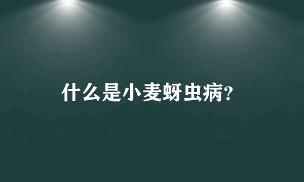 什么是小麦蚜虫病？