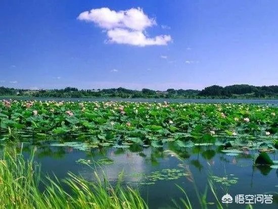 济宁有哪些旅游景点？