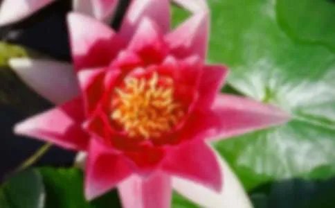 荷花淀的人物性格特点