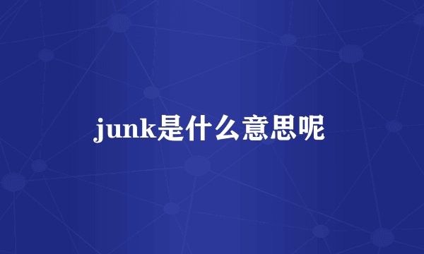 junk是什么意思呢
