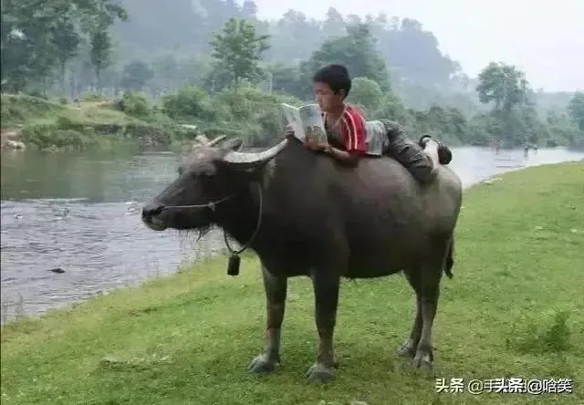 从哪里能去送别袁隆平院士？