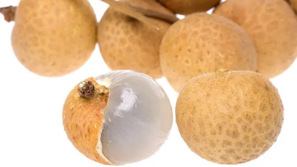 补气补血吃什么