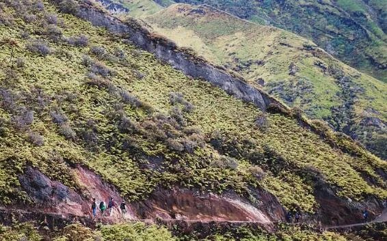 泥石流是什么意思